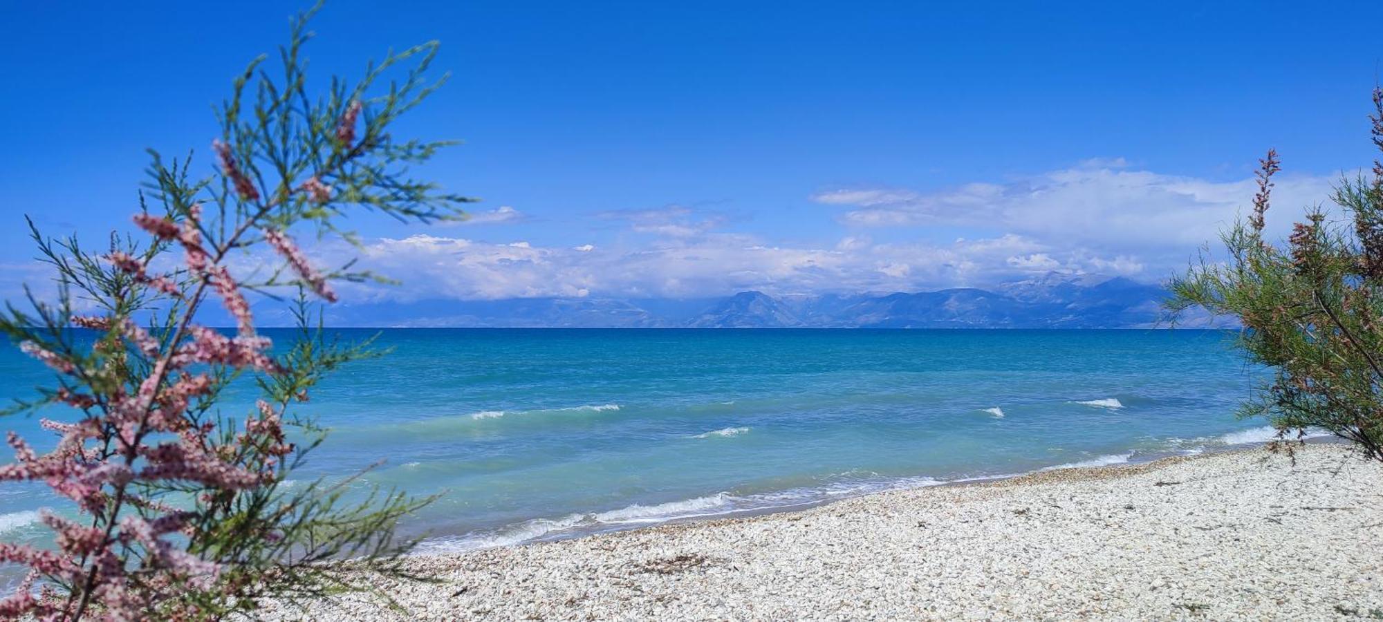Agapi Studio Acharavi A 50M De La Mer, 400M Du Centre Ville 외부 사진