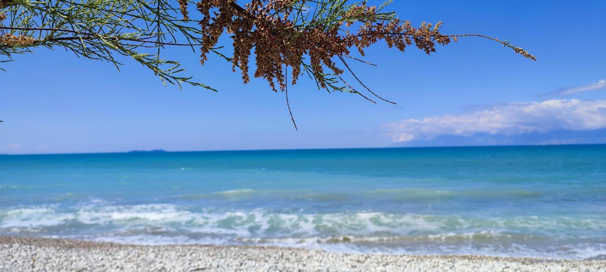 Agapi Studio Acharavi A 50M De La Mer, 400M Du Centre Ville 외부 사진